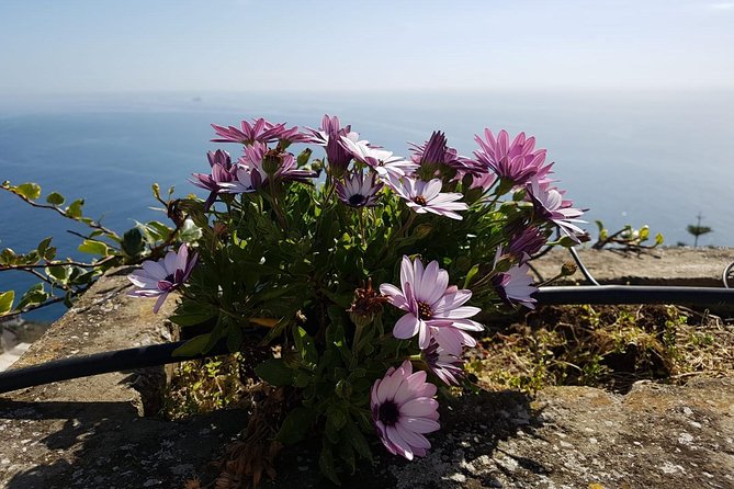 Private Transfer from Naples to Positano - Pickup that actually works: meet-and-greet and real-world timing