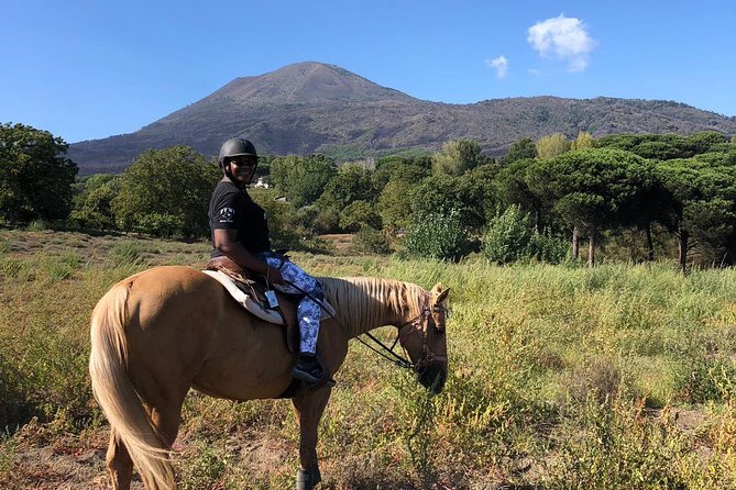 Scenic Horseback Ride, Wine Tasting & Lunch on Mt. Vesuvius - Key points to know before you go