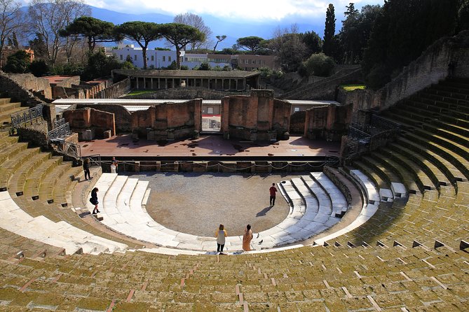 Skip-the-Line Best of Pompeii in one Day Tour w Local Guide & new opened houses - Who guides you at Pompeii: Lello & Co. and an art historian