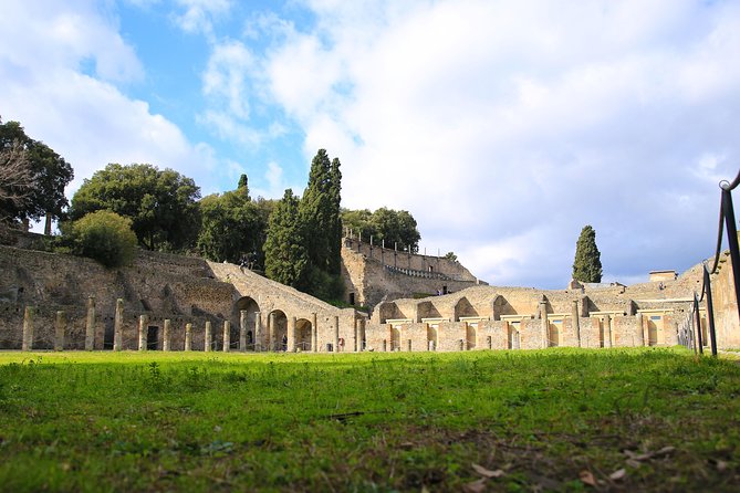Skip-the-Line Half-Day Private Tour Ancient Pompeii Highlights with Native Guide - Your guide: art historian storytelling, with room for questions
