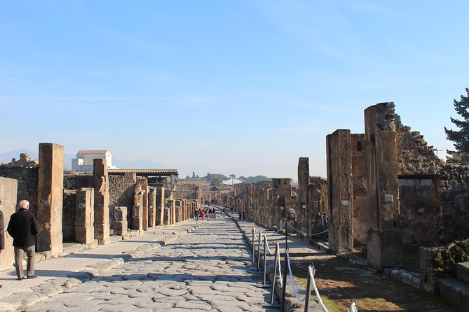 Skip-the-Line Pompeii Archaeological Site with Private Guide - Pompeii’s UNESCO ruins feel real when queues aren’t in your way
