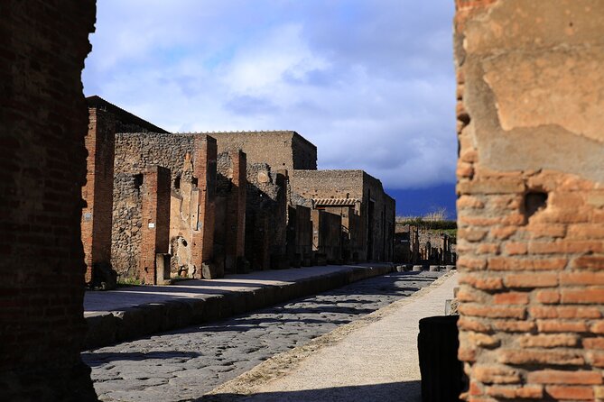 Skip the Line Pompeii Tour For Kids and Families w Special Guide - Walking pace, breaks, and what to bring for a smooth 2-hour visit
