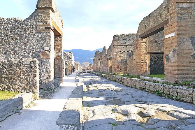 Skip-the-Line Pompeii & Volcano Vesuvius Day Tour w Hotel or Port Pickup - Up Vesuvius: What a Geology Expert Adds on the Crater Trail