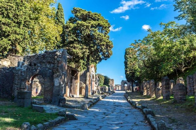 Skip the Line Private Pompeii Guided Tour - Priority Entry: How You Beat Pompeii’s Line