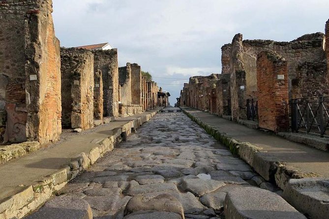 Skip the Line Private Pompeii Guided Tour - Two mosaic houses: Casa del Poeta Tragico and Casa del Cinghiale