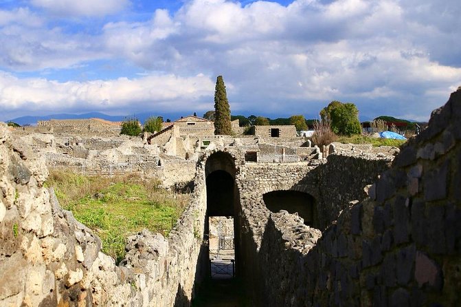 Tour of Pompeii for families with Transfer from Naples & Sorrento - Small group private format (max 10) and why it matters