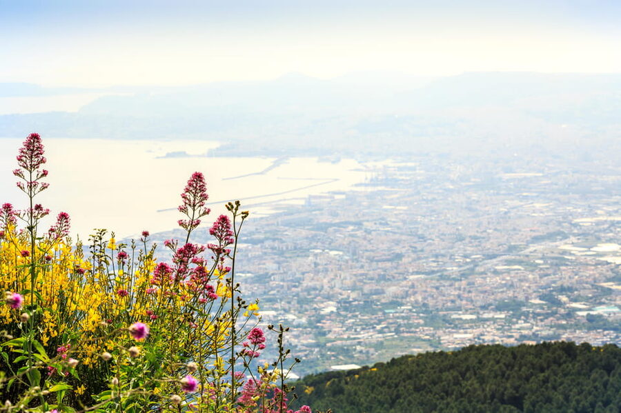 Vesuvio Skip The Line Ticket With Digital Audioguide - Key Points Before You Go