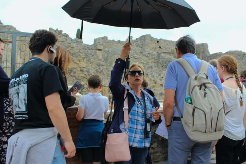 Vesuvius and Pompeii Tour from Naples All Included - Transportation all bundled in: what “private driver” really buys you