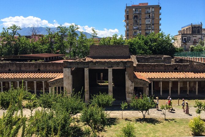 Villa Oplontis & Stabiae: discover the Hidden Treasures with your Archaeologist - Key Things to Know Before You Go