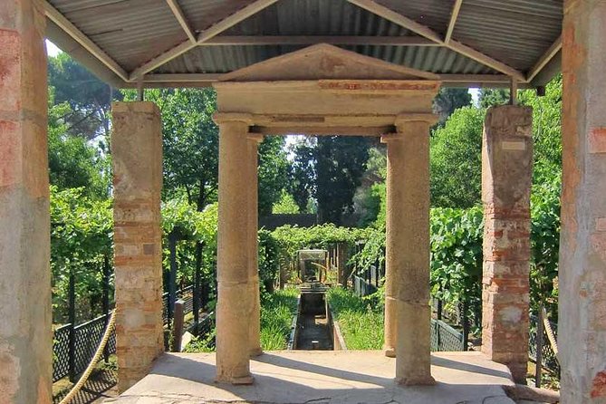 VIP Pompeii Tour including Newly Opened Houses With Archaeologist - Guide quality matters: examples of what can make or break the day