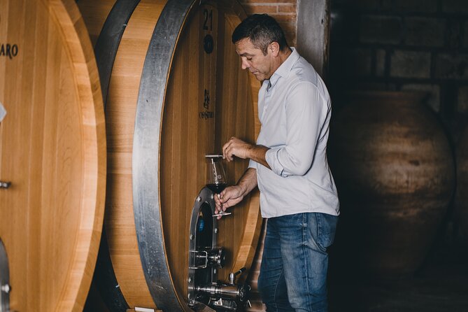Wine Tasting and Winery Tour in Vesuvio National Park with Lunch - Key things I’d circle before you go