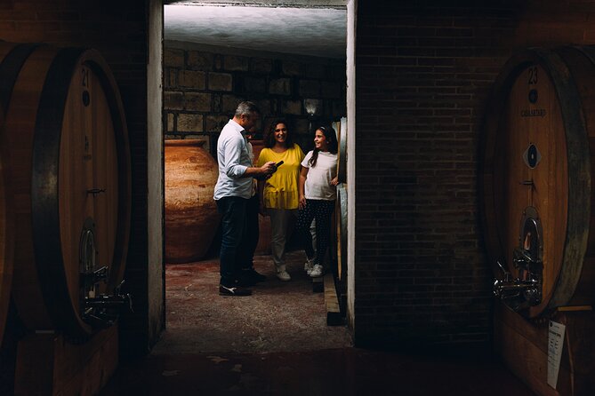 Wine Tasting and Winery Tour in Vesuvio National Park with Lunch - Vineyard walk: organic vines shaped by altitude and exposure