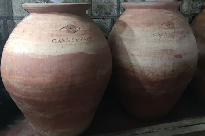 Wine Tasting and Winery Tour in Vesuvio National Park with Lunch - The lava-stone cellar tour and why it matters for your tasting