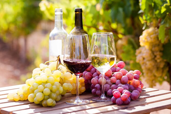 Wine tasting in the Vesuvius national park - Key highlights you’ll actually feel